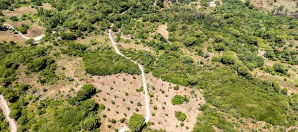 4 bedrooms Castles in Palmela, Portugal No. 140216 44