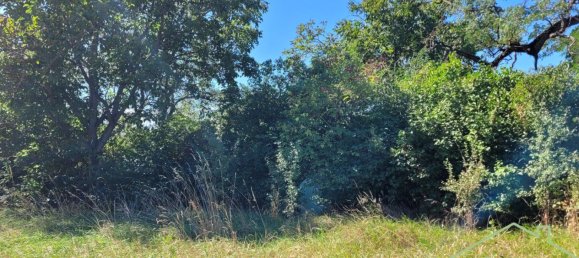 Terreno en Oberpullendorf, Austria No. 257761 2