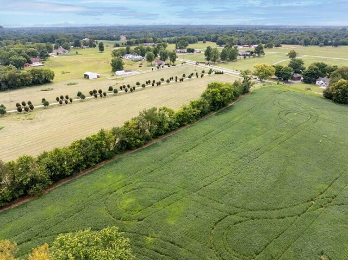  Land in Hopkinsville, USA No. 502583