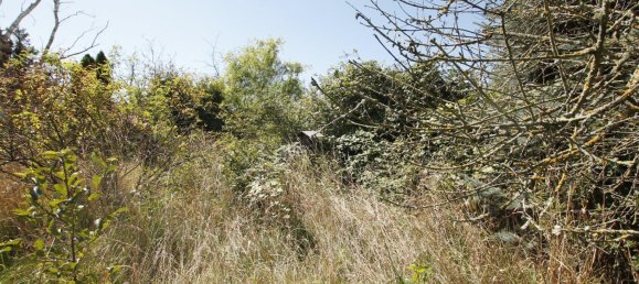 5-Zimmer Haus in Leipzig, Germany, Nr. 316461 7