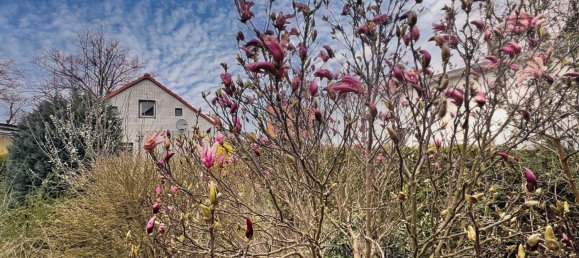 2 Schlafzimmer Haus in Oberhavel, Germany, Nr. 75801 8