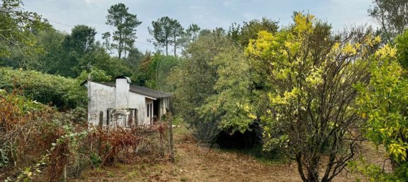 3 Schlafzimmer Haus in Friestas, Portugal, Nr. 17882 14