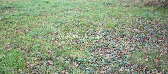  Land in La Foye-Monjault, France No. 60566 3