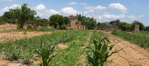 1 chambre Maison à Porreres, Spain No. 165188 2