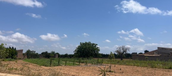 1 chambre Maison à Porreres, Spain No. 165188 11