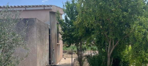 1 chambre Maison à Porreres, Spain No. 165188 19