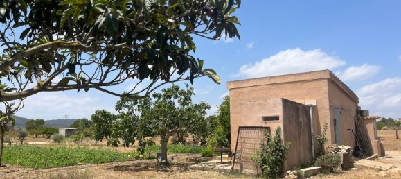 1 chambre Maison à Porreres, Spain No. 165188 14