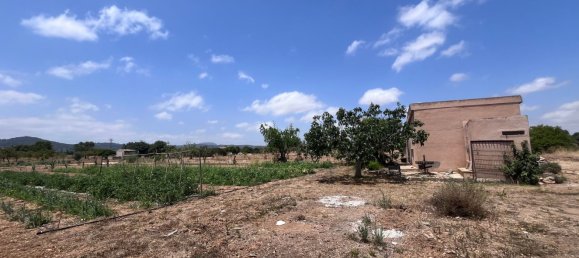 1 chambre Maison à Porreres, Spain No. 165188 13