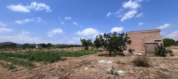 1 chambre Maison à Porreres, Spain No. 165188 4