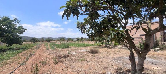 1 chambre Maison à Porreres, Spain No. 165188 12