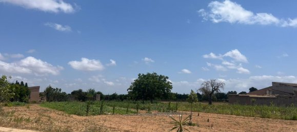 1 chambre Maison à Porreres, Spain No. 165188 9