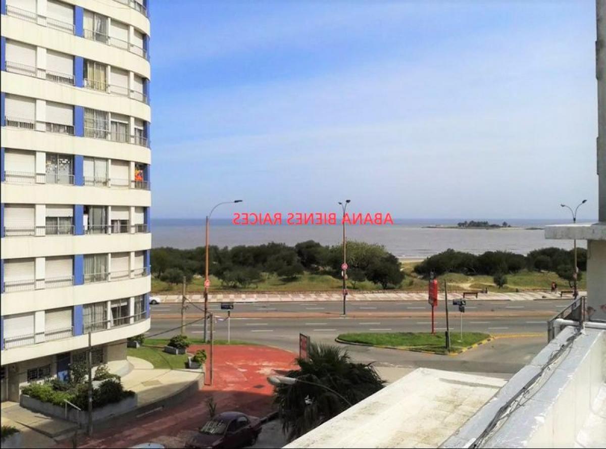 Studio à Montevideo, Uruguay No. 9467