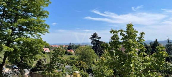 6 غرف نوم فيلا في Radebeul, Germany رقم 11468 11