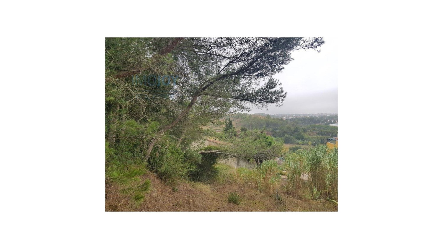 4019m² Land in Cascais, Portugal No. 135848