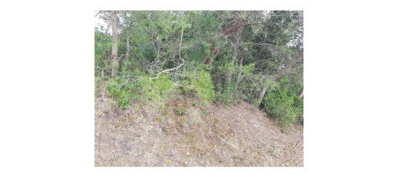 4019m² Land in Cascais, Portugal No. 135848 11