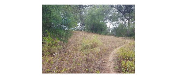 4019m² Land in Cascais, Portugal No. 135848 5