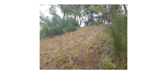 4019m² Land in Cascais, Portugal No. 135848 10