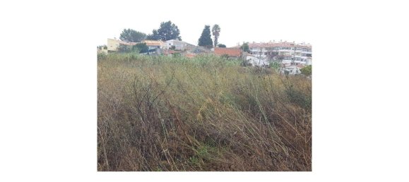 4019m² Land in Cascais, Portugal No. 135848 2