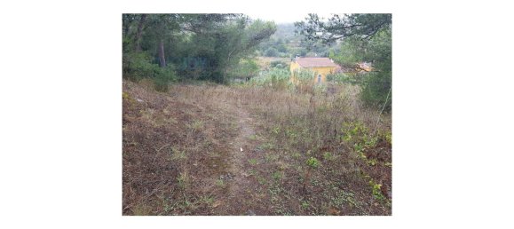 4019m² Land in Cascais, Portugal No. 135848 8