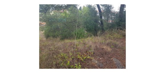 4019m² Land in Cascais, Portugal No. 135848 7