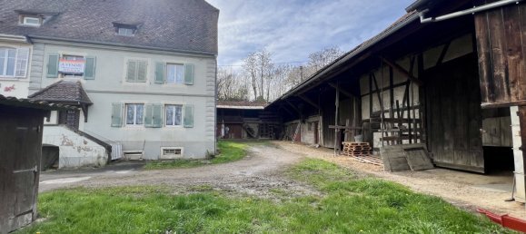 3 bedrooms House in Tagolsheim, France No. 236603 9