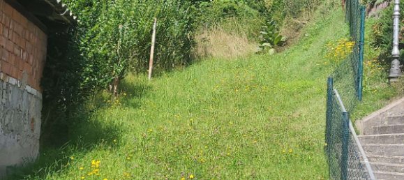  Land in Wartburgkreis, Germany No. 311849 2