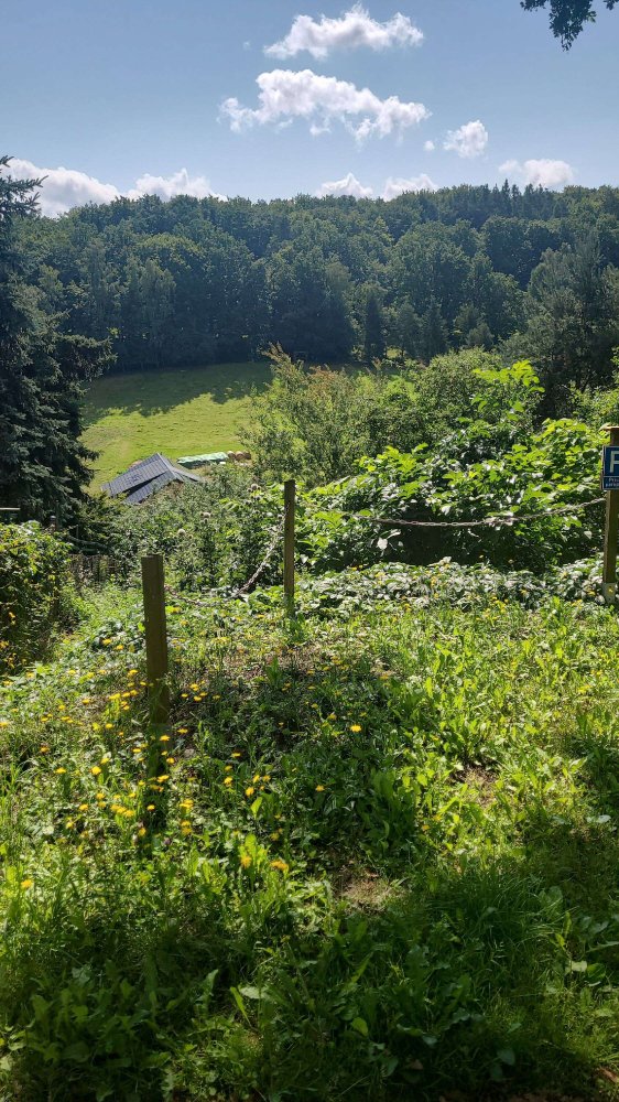  Land in Wartburgkreis, Germany No. 311849