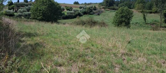 Terrain à Trevignano Romano, Italy No. 377896 11