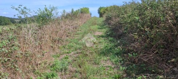 Terrain à Trevignano Romano, Italy No. 377896 17