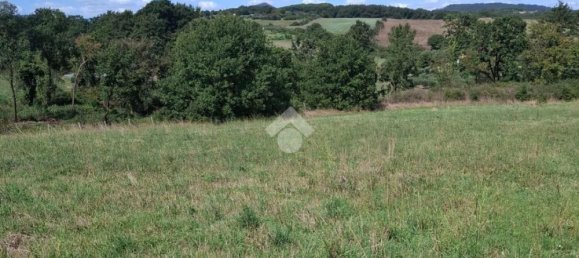 Terrain à Trevignano Romano, Italy No. 377896 7