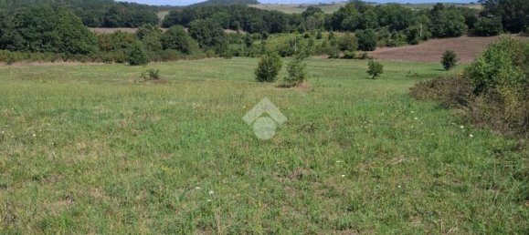 Terrain à Trevignano Romano, Italy No. 377896 3