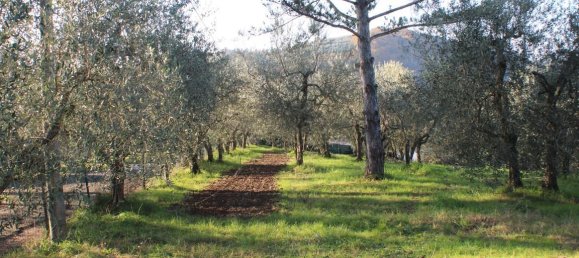 3 bedrooms Apartment in Florence, Italy No. 233126 9