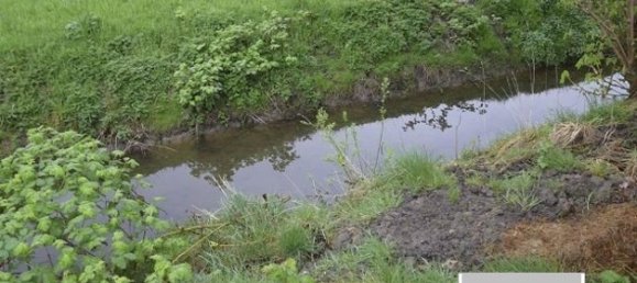 8-Zimmer Lagerhaus in Wesermarsch, Germany, Nr. 230299 10