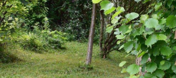 3غرفة منزل في Ottakring, Austria رقم 218130 19