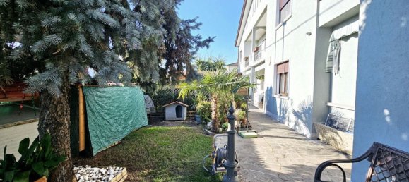 6 rooms House in Stanghella, Italy No. 159212 21