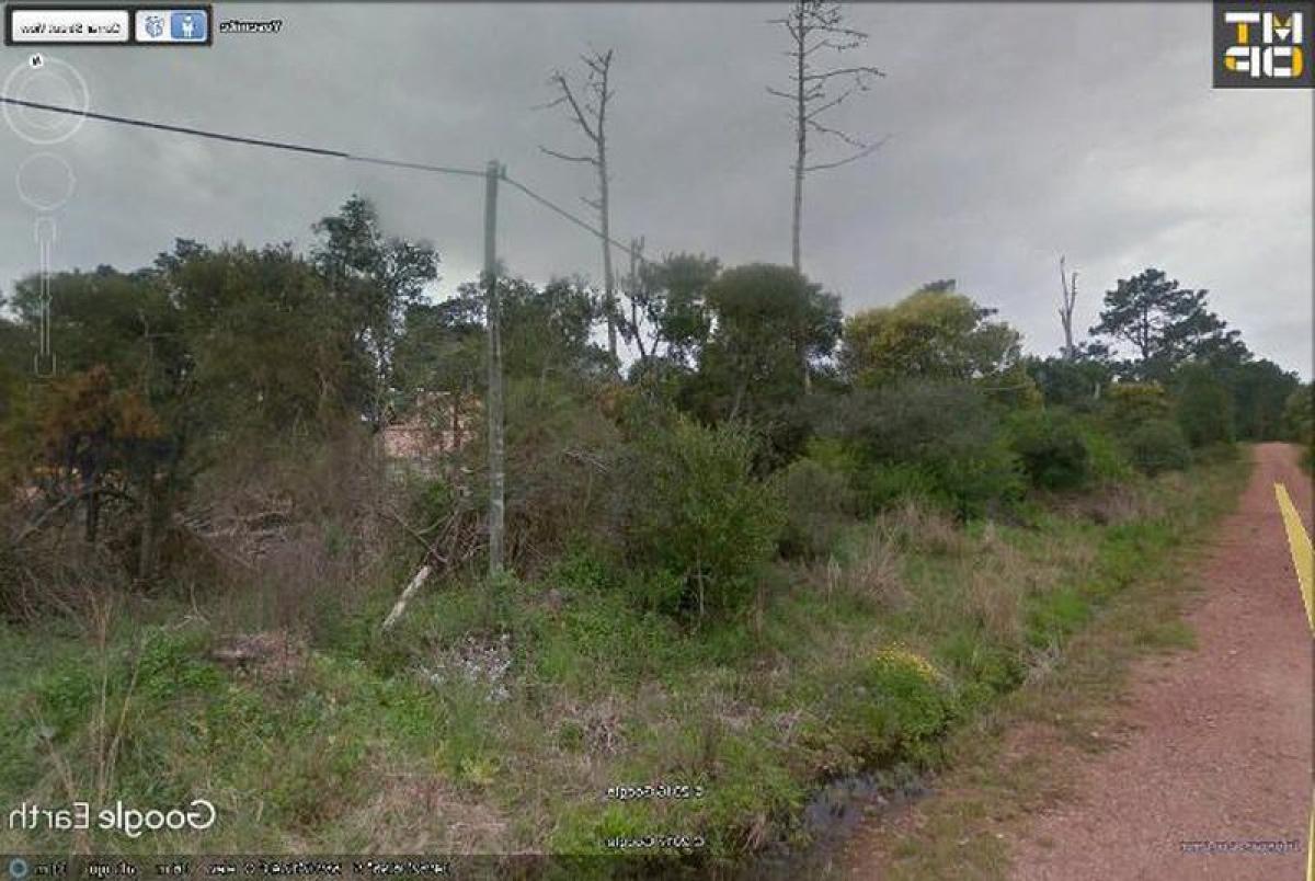  قطعة أرض في Maldonado, Uruguay رقم 14407