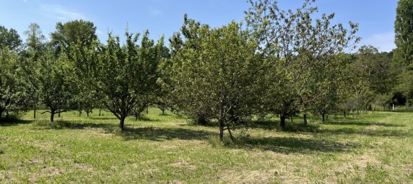 3 bedrooms House in Saint-Firmin-sur-Loire, France No. 82619 18