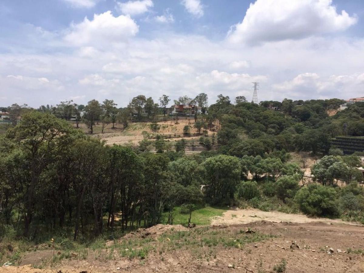  قطعة أرض في Ciudad Lopez Mateos, Mexico رقم 207090