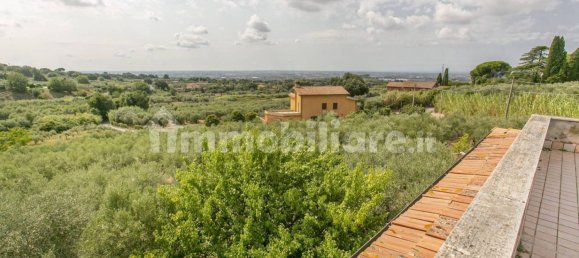 Villa de 6 dormitorios en Genzano di Roma, Italy No. 351821 43