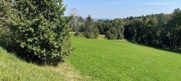 Terrain à Mooskirchen, Austria No. 118787 2