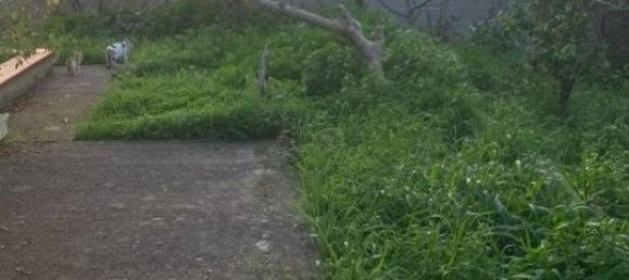 8 rooms Villa in Carini, Italy No. 27067 7