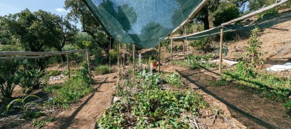 Земельный участок 10960м² в Баран де Сан Мигел, Португалия № 306149 10