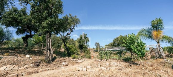 Земельный участок 10960м² в Баран де Сан Мигел, Португалия № 306149 4