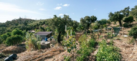 Земельный участок 10960м² в Баран де Сан Мигел, Португалия № 306149 7