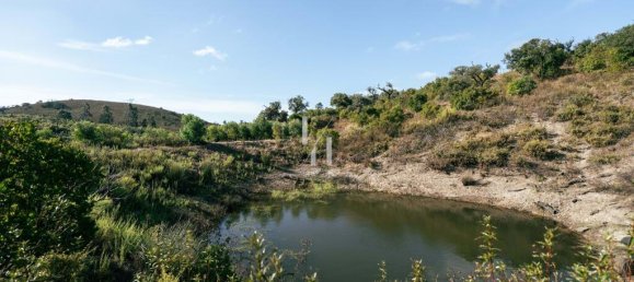 Земельный участок 10960м² в Баран де Сан Мигел, Португалия № 306149 14