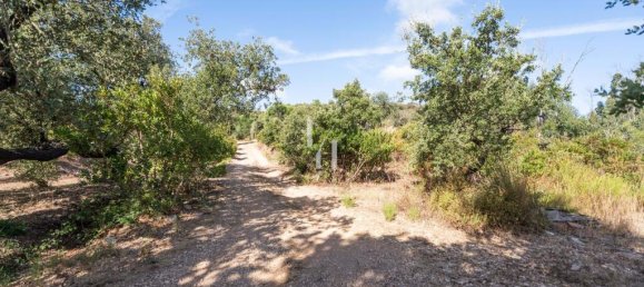 Земельный участок 10960м² в Баран де Сан Мигел, Португалия № 306149 3