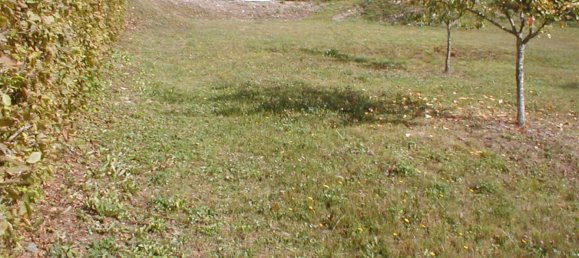 Terreno em Neuerburg, Germany N.º 329703 8