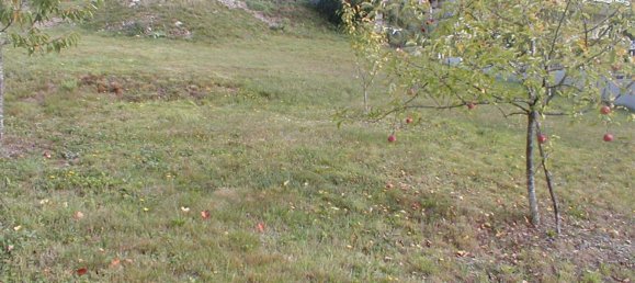 Terreno em Neuerburg, Germany N.º 329703 11