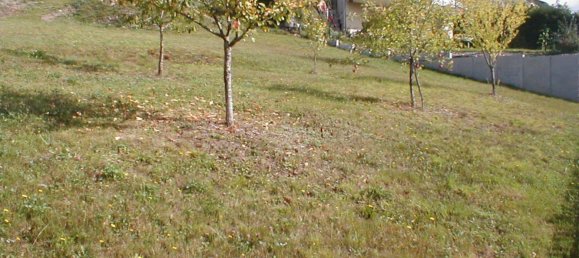 Terreno em Neuerburg, Germany N.º 329703 9