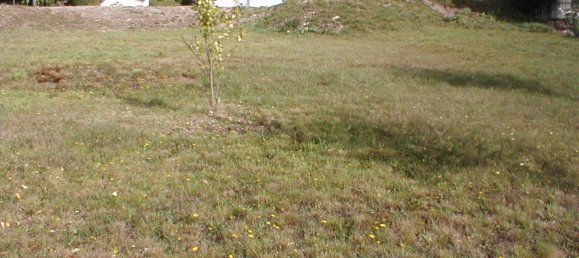 Terreno em Neuerburg, Germany N.º 329703 12